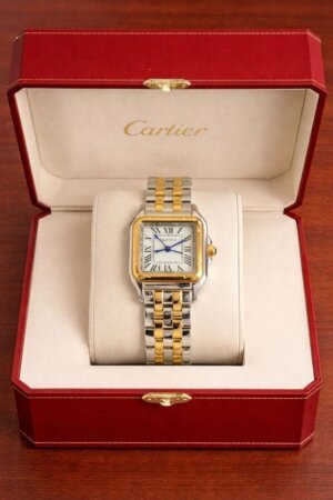 Cartier De Santos Swiss White Dail Dual Tone Watch For Ladies 11